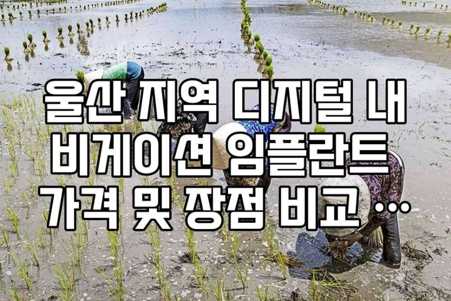 울산 지역 디지털 내비게이션 임플란트 가격 및 장점 비교 리스트