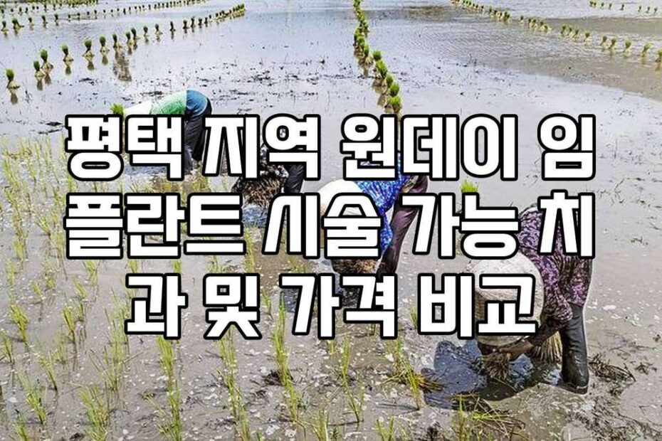평택 지역 원데이 임플란트 시술 가능 치과 및 가격 비교