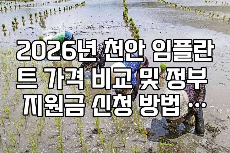 2026년 천안 임플란트 가격 비교 및 정부 지원금 신청 방법 가이드