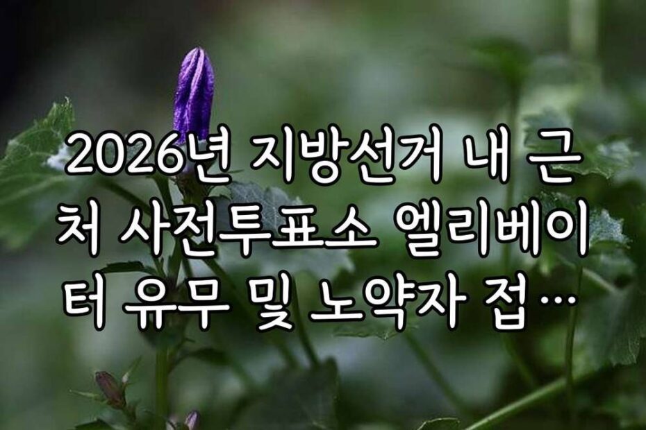 2026년 지방선거 내 근처 사전투표소 엘리베이터 유무 및 노약자 접근성