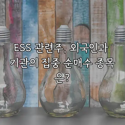 ESS 관련주, 외국인과 기관의 집중 순매수 종목은?