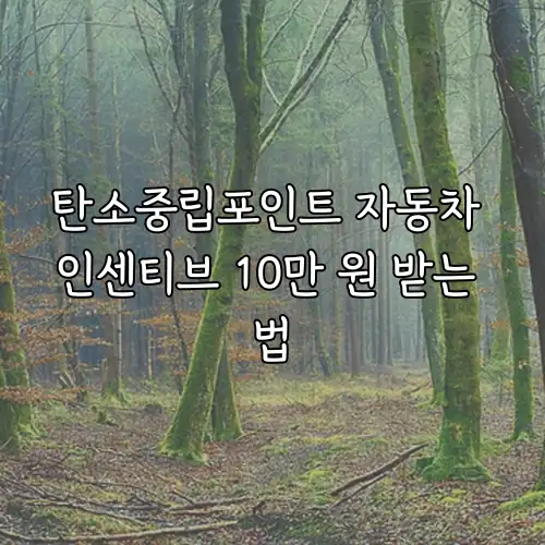 탄소중립포인트 자동차 인센티브 10만 원 받는 법