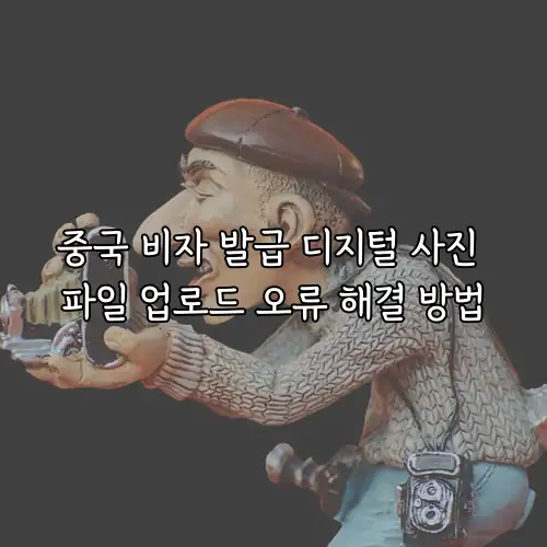중국 비자 발급 디지털 사진 파일 업로드 오류 해결 방법