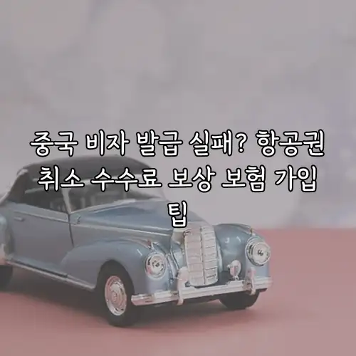 중국 비자 발급 실패? 항공권 취소 수수료 보상 보험 가입 팁