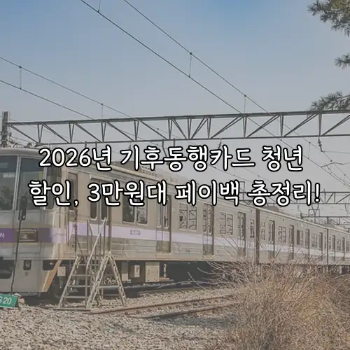 2026년 기후동행카드 청년 할인, 3만원대 페이백 총정리!