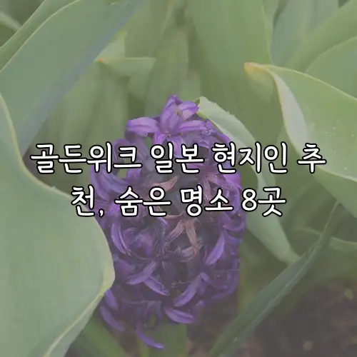 골든위크 일본 현지인 추천, 숨은 명소 8곳