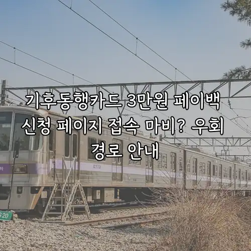 기후동행카드 3만원 페이백 신청 페이지 접속 마비? 우회 경로 안내