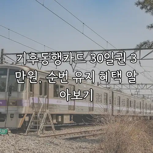 기후동행카드 30일권 3만원, 순번 유지 혜택 알아보기