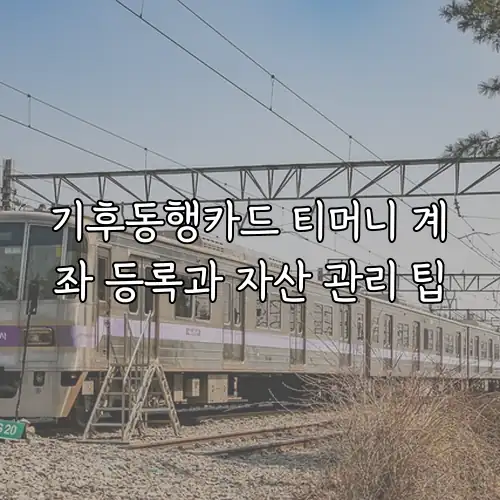 기후동행카드 티머니 계좌 등록과 자산 관리 팁