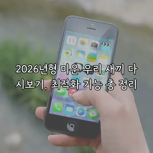 2026년형 미운 우리 새끼 다시보기, 최적화 기능 총 정리
