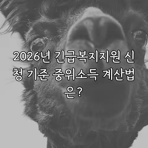 2026년 긴급복지지원 신청 기준 중위소득 계산법은?