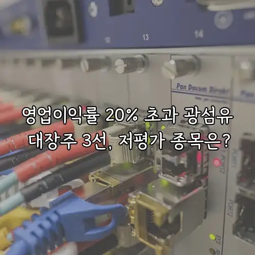 영업이익률 20% 초과 광섬유 대장주 3선, 저평가 종목은?