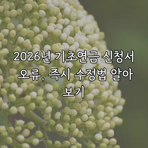 2026년 기초연금 신청서 오류, 즉시 수정법 알아보기