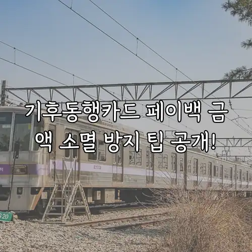 기후동행카드 페이백 금액 소멸 방지 팁 공개!