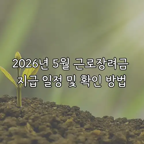 2026년 5월 근로장려금 지급 일정 및 확인 방법