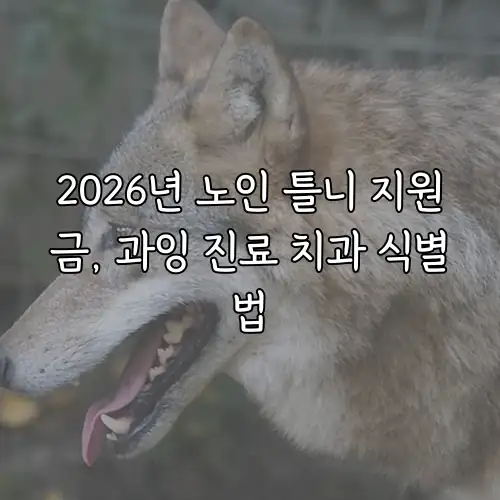 2026년 노인 틀니 지원금, 과잉 진료 치과 식별법