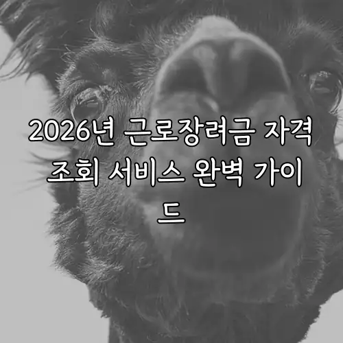 2026년 근로장려금 자격 조회 서비스 완벽 가이드