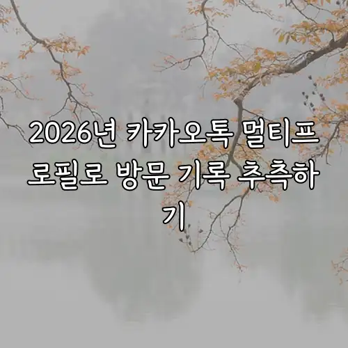 2026년 카카오톡 멀티프로필로 방문 기록 추측하기