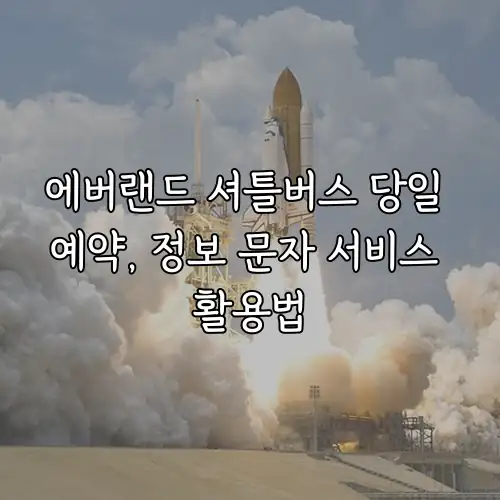 에버랜드 셔틀버스 당일 예약, 정보 문자 서비스 활용법