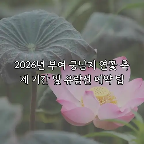 2026년 부여 궁남지 연꽃 축제 기간 및 유람선 예약 팁