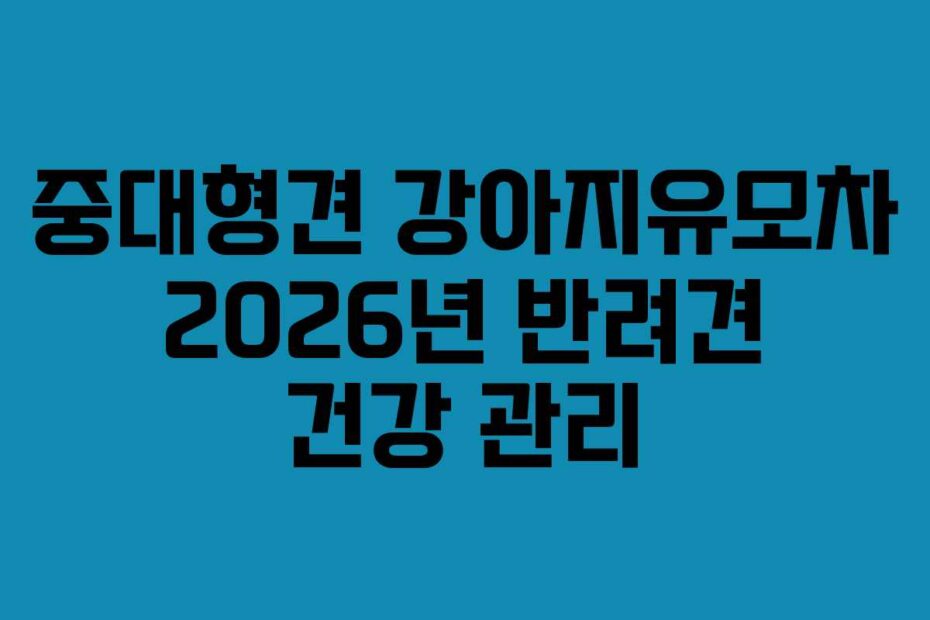 중대형견 강아지유모차 2026년 반려견 건강 관리