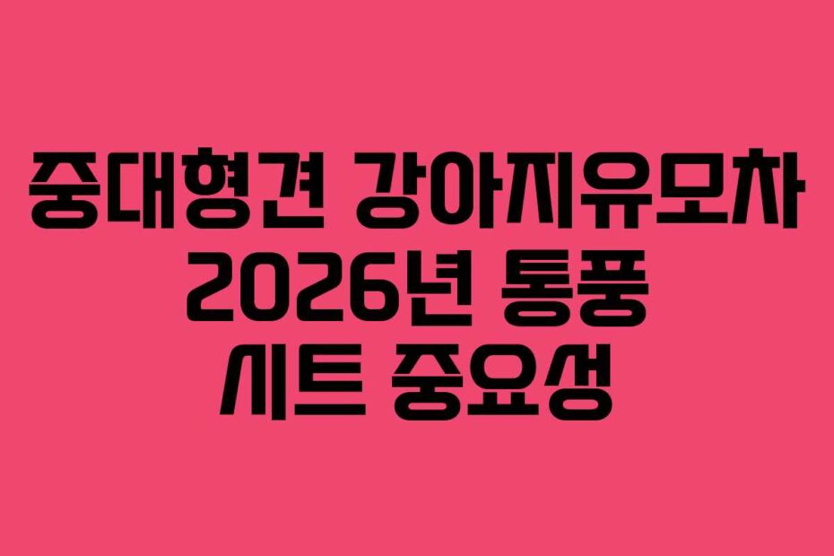 중대형견 강아지유모차 2026년 통풍 시트 중요성