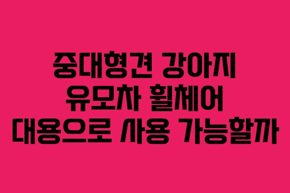 중대형견 강아지 유모차 휠체어 대용으로 사용 가능할까