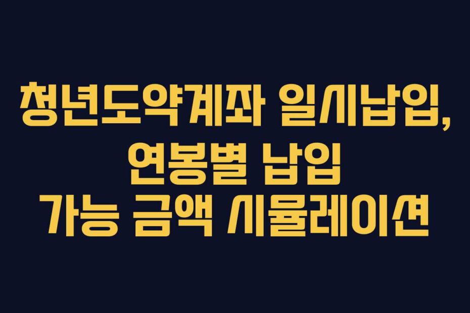 청년도약계좌 일시납입, 연봉별 납입 가능 금액 시뮬레이션
