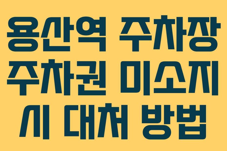 용산역 주차장 주차권 미소지 시 대처 방법