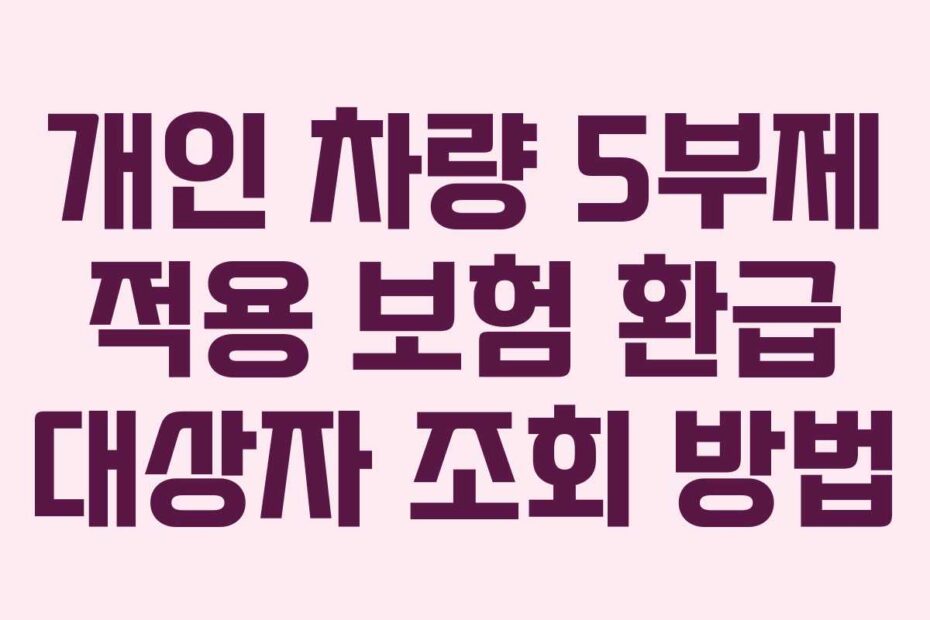 개인 차량 5부제 적용 보험 환급 대상자 조회 방법
