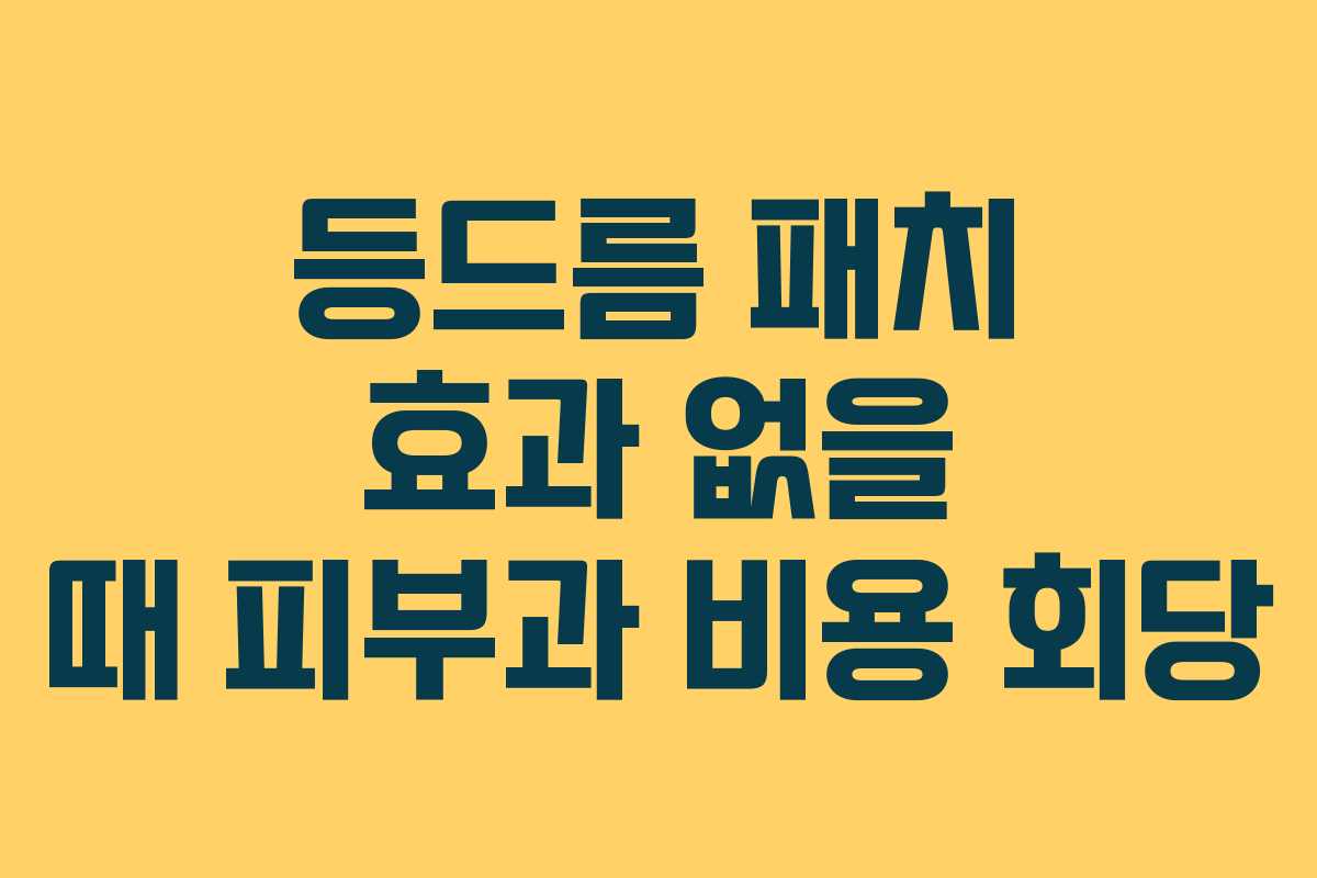 등드름 패치 효과 없을 때 피부과 비용 회당