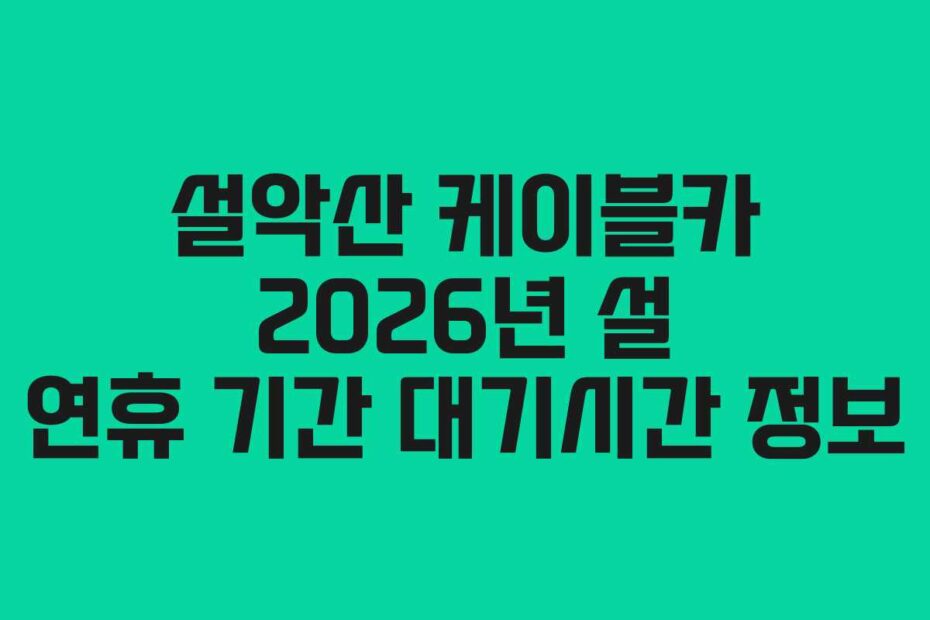 설악산 케이블카 2026년 설 연휴 기간 대기시간 정보