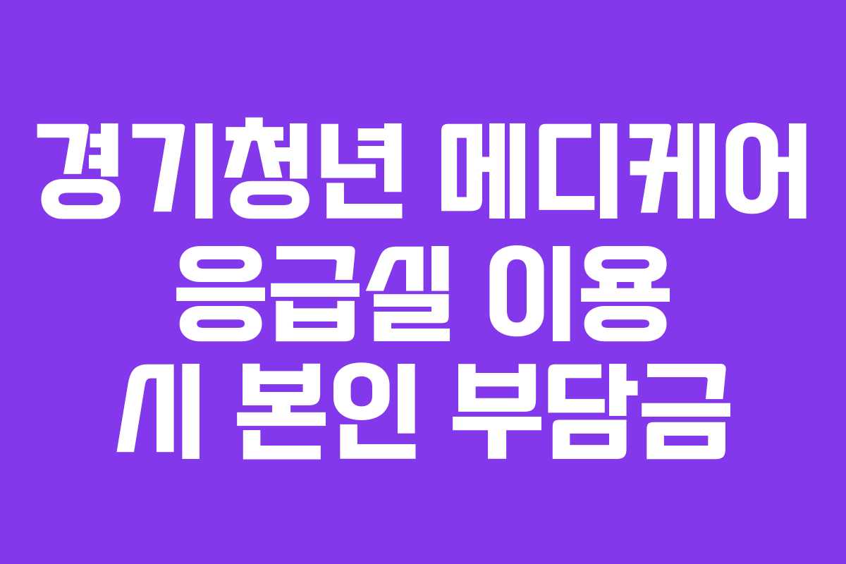 경기청년 메디케어 응급실 이용 시 본인 부담금