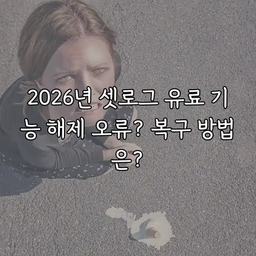 2026년 셋로그 유료 기능 해제 오류? 복구 방법은?