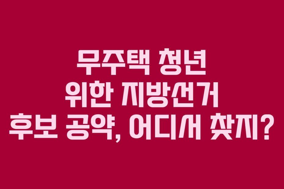 무주택 청년 위한 지방선거 후보 공약, 어디서 찾지?