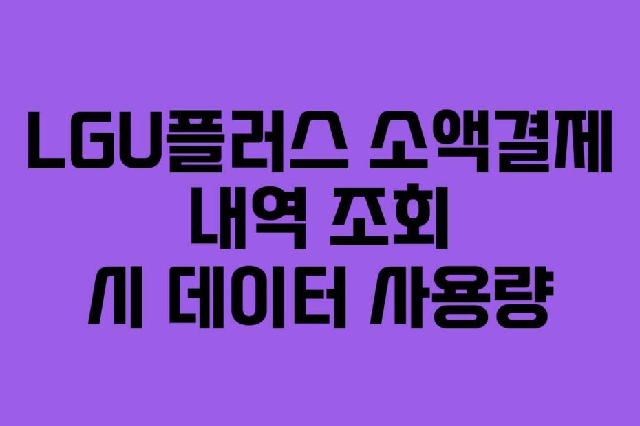 LGU플러스 소액결제 내역 조회 시 데이터 사용량