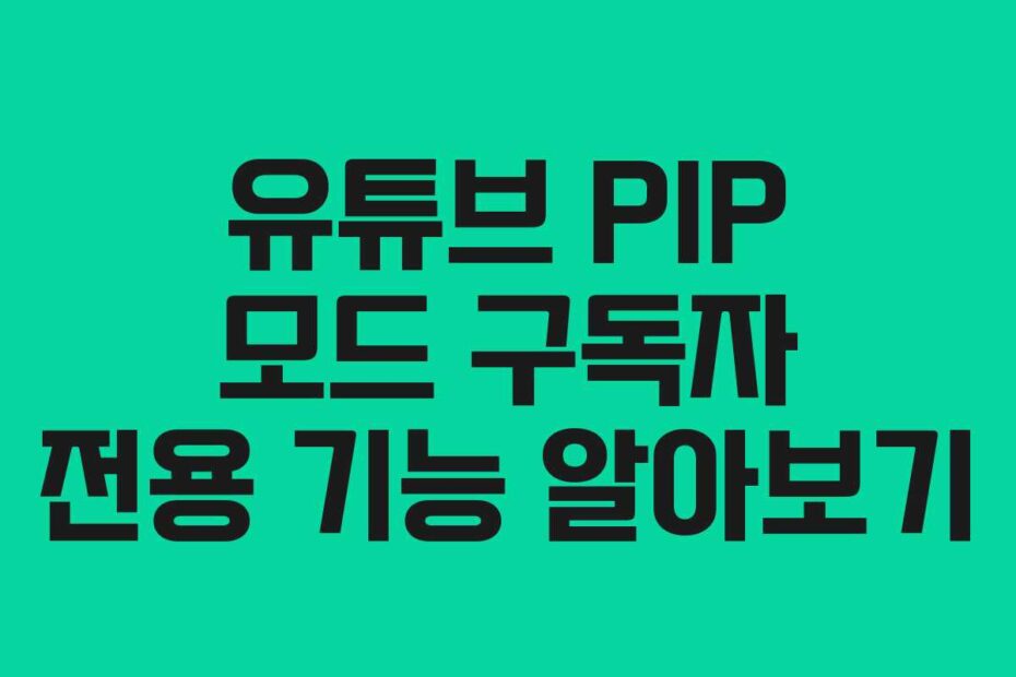 유튜브 PIP 모드 구독자 전용 기능 알아보기