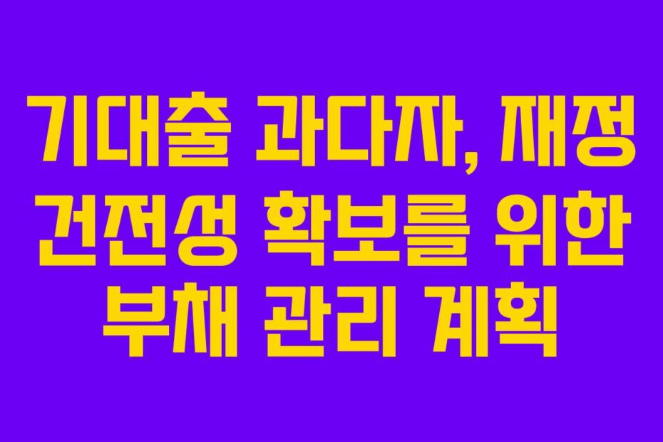 기대출 과다자, 재정 건전성 확보를 위한 부채 관리 계획