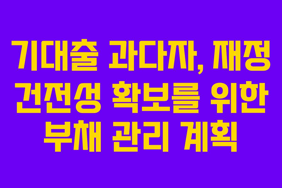 기대출 과다자, 재정 건전성 확보를 위한 부채 관리 계획