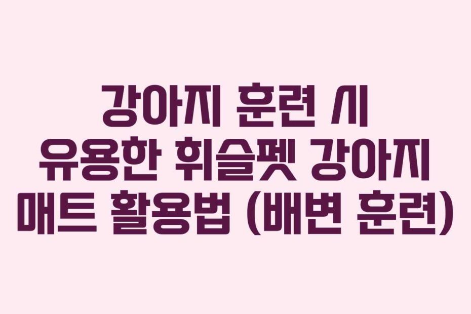 강아지 훈련 시 유용한 휘슬펫 강아지 매트 활용법 (배변 훈련)