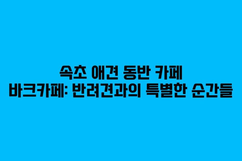 속초 애견 동반 카페 바크카페: 반려견과의 특별한 순간들