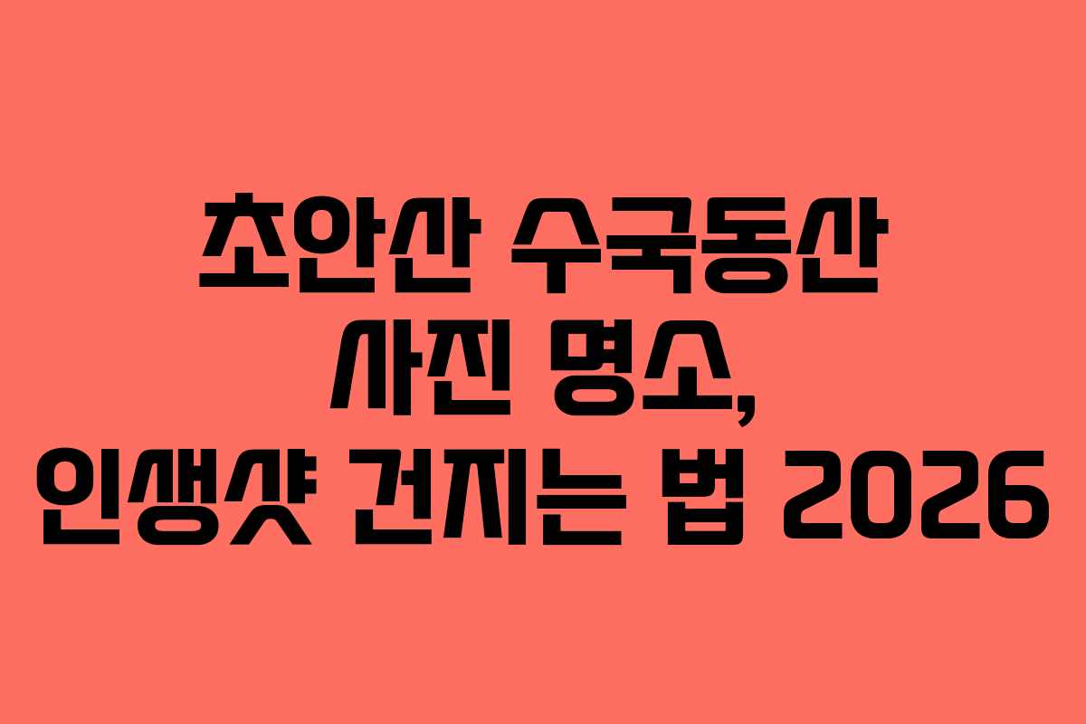 초안산 수국동산 사진 명소, 인생샷 건지는 법 2026